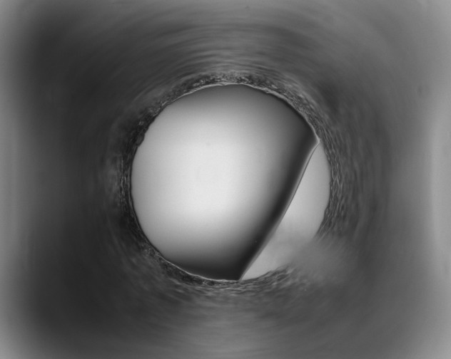 X0000089370773200706150842