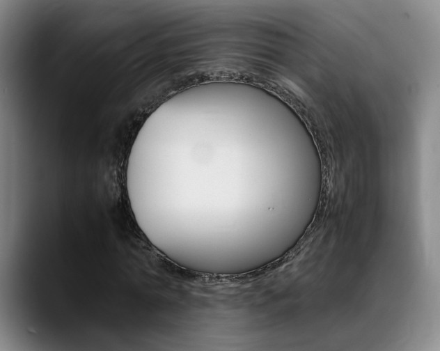 X0000089370774200706150842
