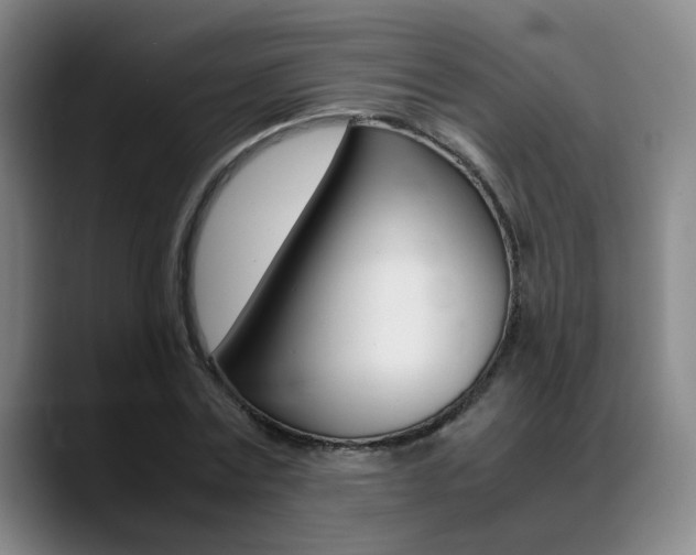 X0000089370779200706150842