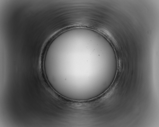 X0000089370780200706150842