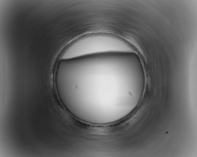 X0000089370781200706150842