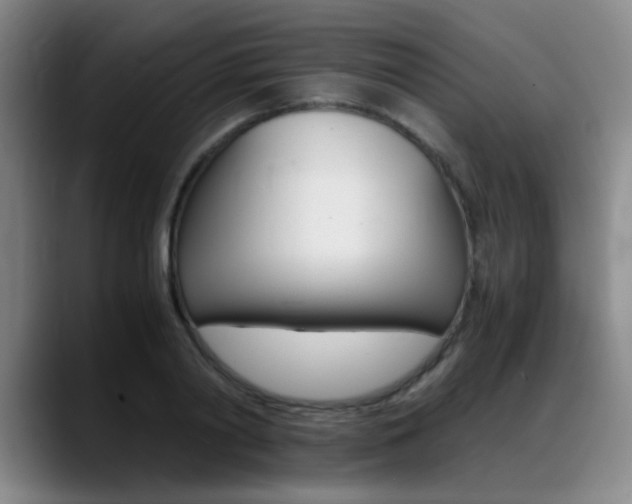 X0000089370790200706150842
