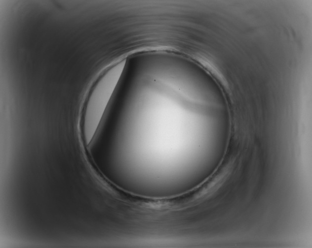 X0000089370797200706150842