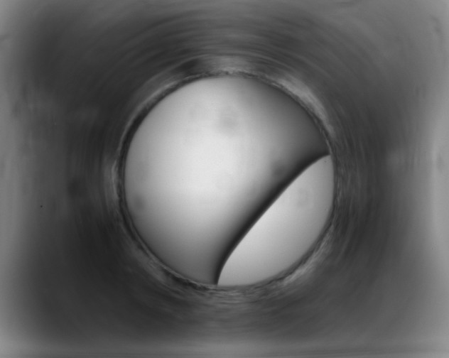 X0000089370798200706150842
