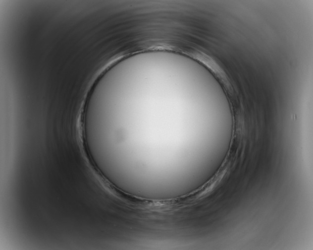 X0000089370806200706150842