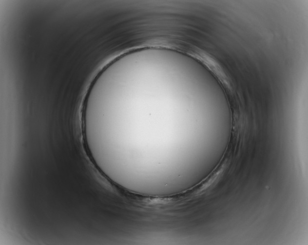 X0000089370808200706150842