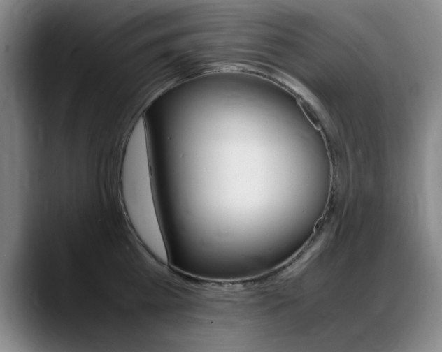 X0000089370809200706150842