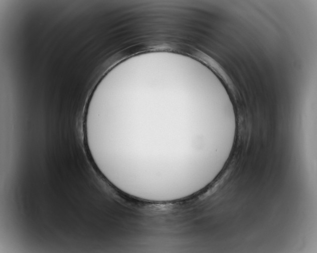 X0000089370810200706150842