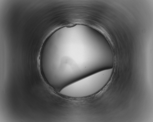 X0000089370814200706150842