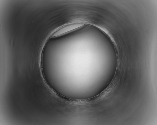X0000089370815200706150842