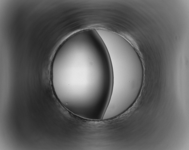 X0000089370816200706150842