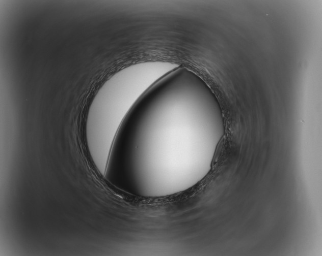 X0000089370817200706150841
