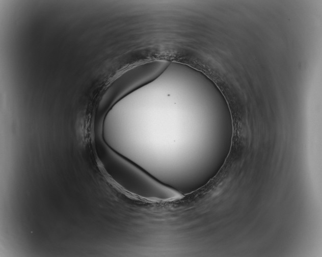 X0000089370818200706150841