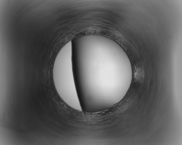 X0000089370819200706150841