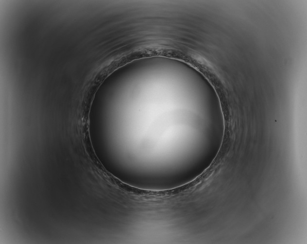 X0000089370822200706150841