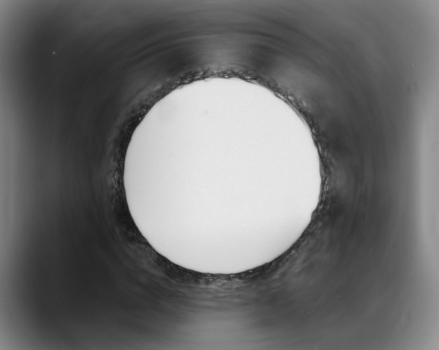 X0000089370824200706150841