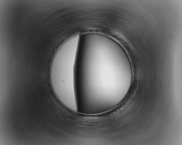 X0000089370825200706150841
