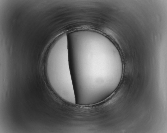 X0000089370827200706150841