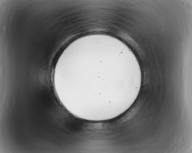 X0000089370828200706150841