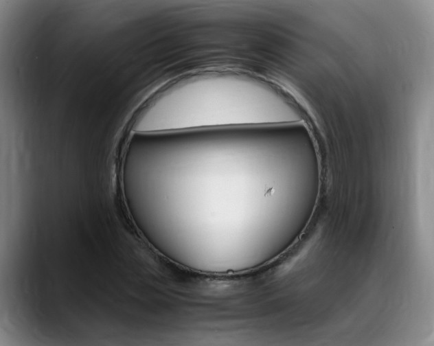 X0000089370829200706150841
