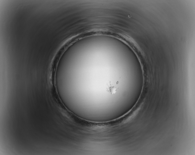 X0000089370830200706150841