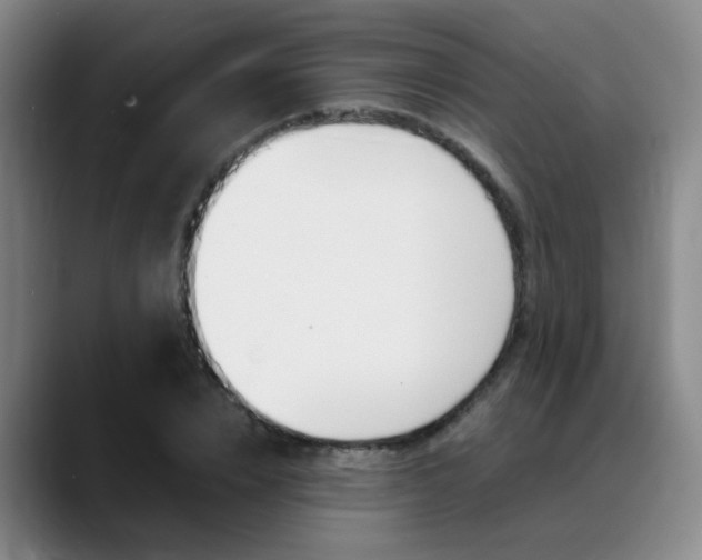 X0000089370832200706150841