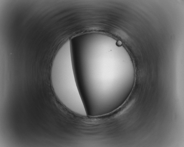 X0000089370833200706150841