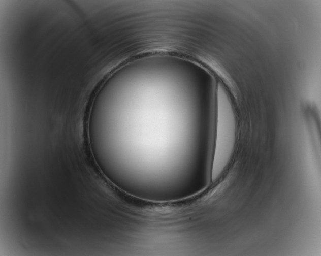 X0000089370834200706150841