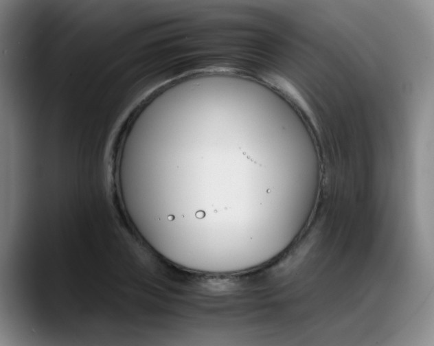 X0000089370835200706150841