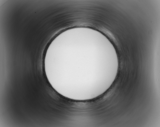 X0000089370836200706150841