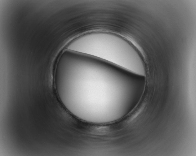 X0000089370837200706150841