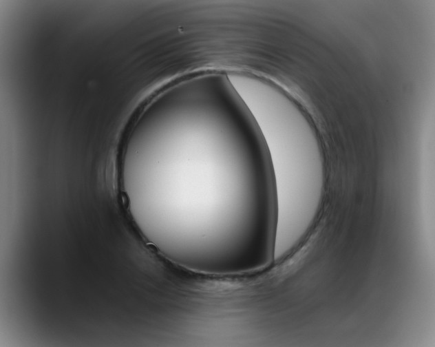 X0000089370838200706150841