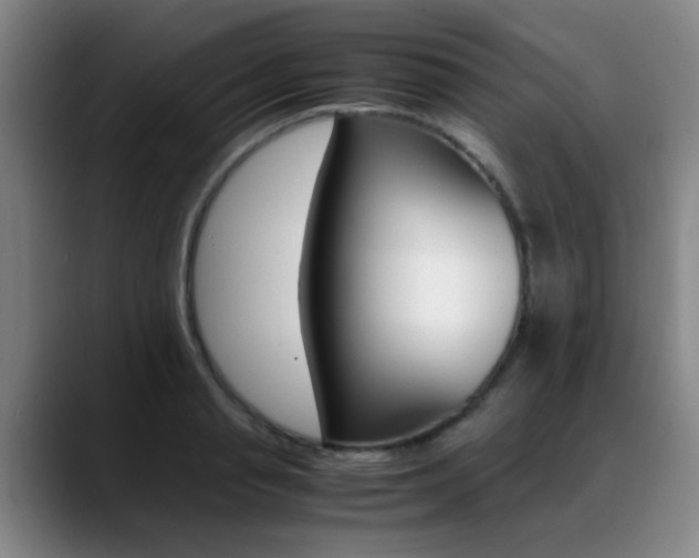 X0000089370845200706150842