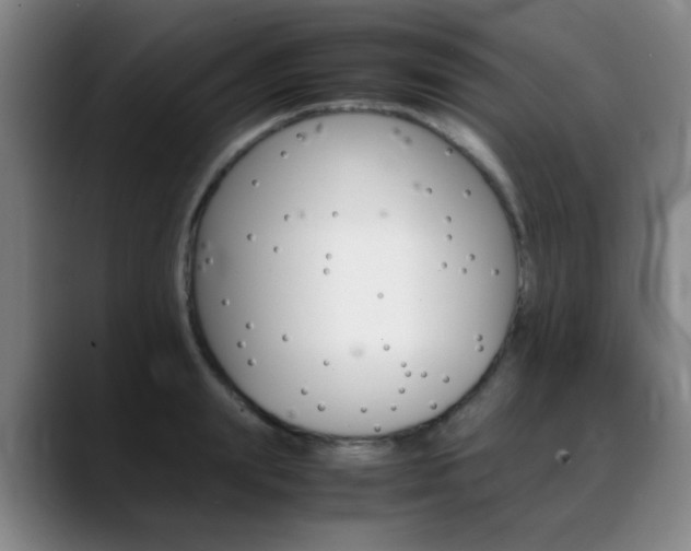 X0000089370847200706150842