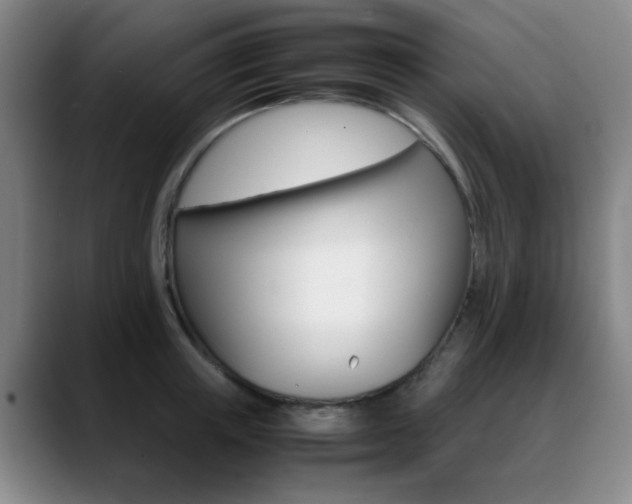 X0000089370851200706150842