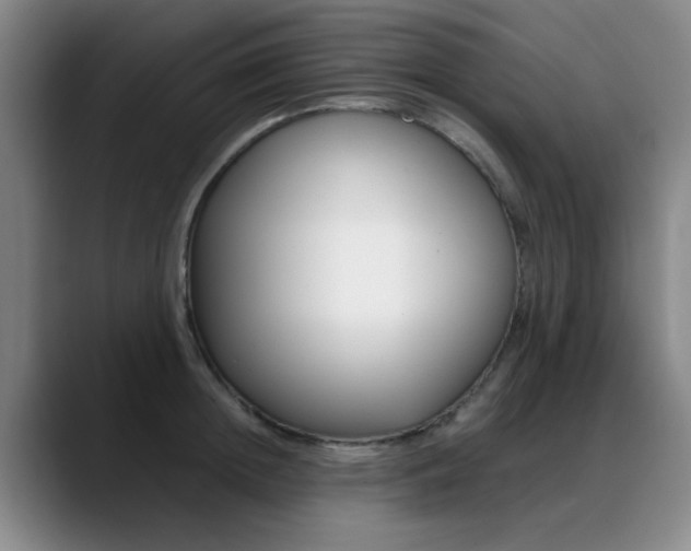 X0000089370852200706150842
