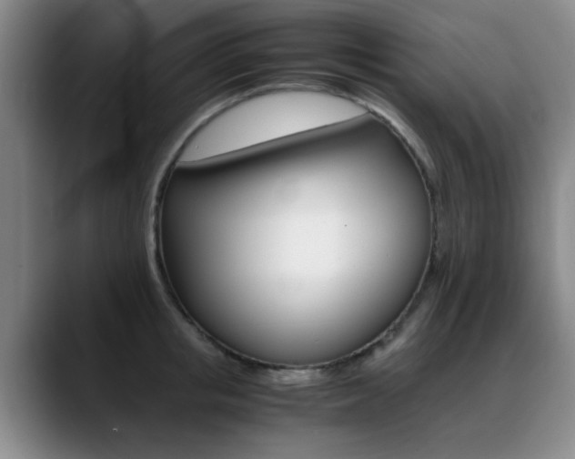 X0000089370853200706150842