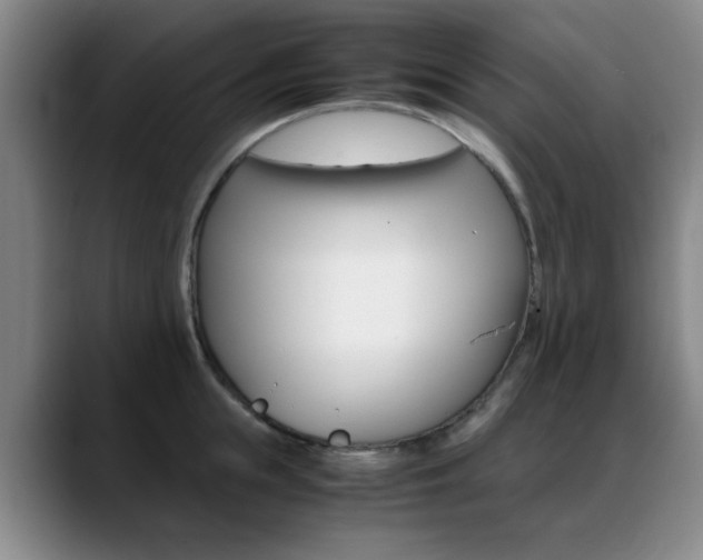X0000089370855200706150842