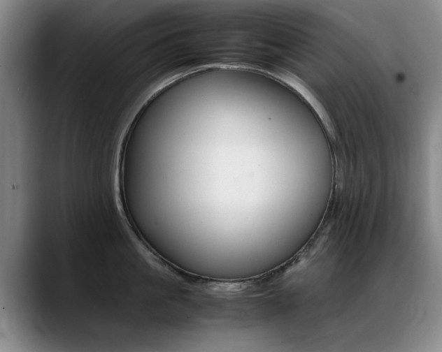 X0000089370861200706150842