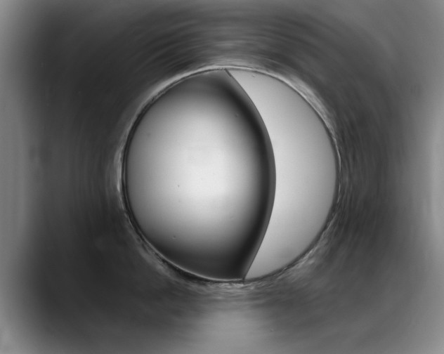 X0000089370862200706150842