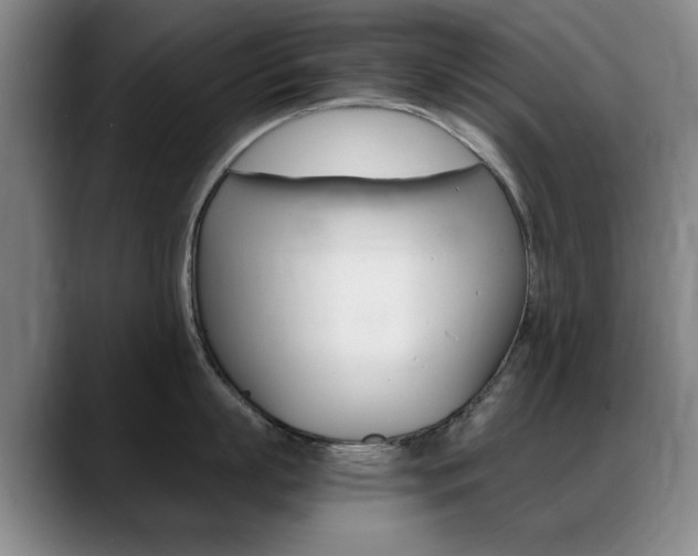 X0000089370863200706150842