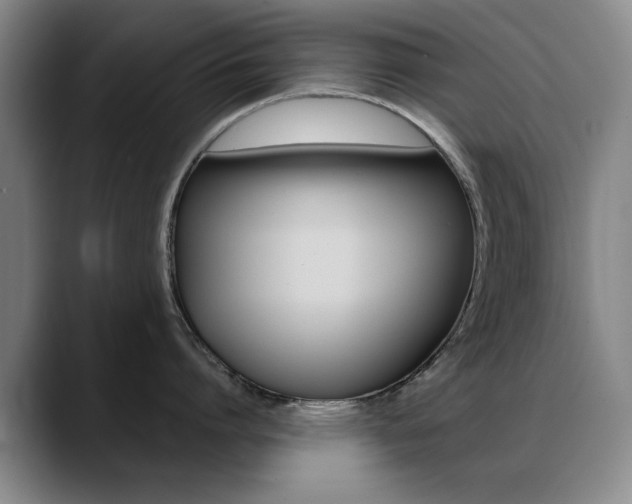 X0000089370864200706150842