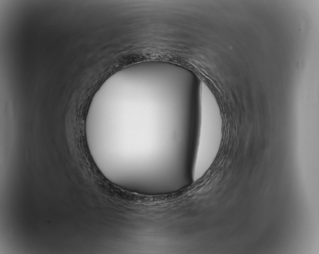 X0000089370865200706150841