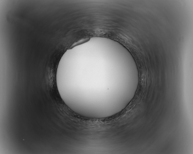 X0000089370866200706150841