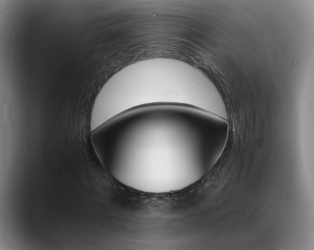 X0000089370868200706150841