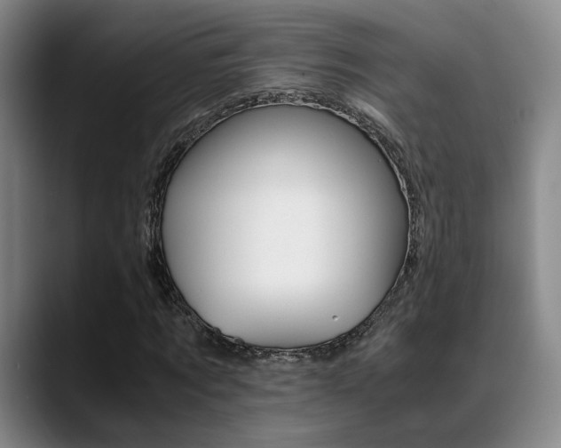 X0000089370869200706150841