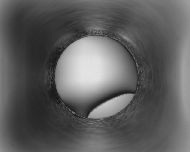 X0000089370870200706150841