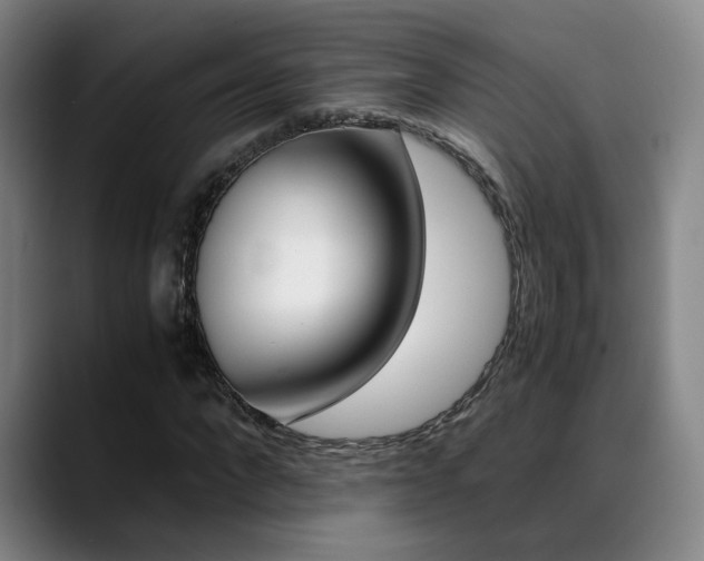 X0000089370872200706150841