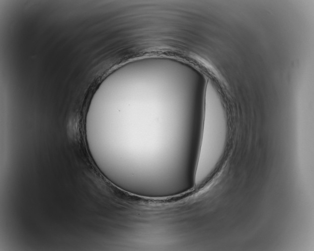 X0000089370873200706150841