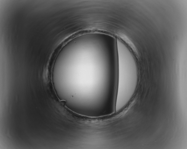 X0000089370876200706150841